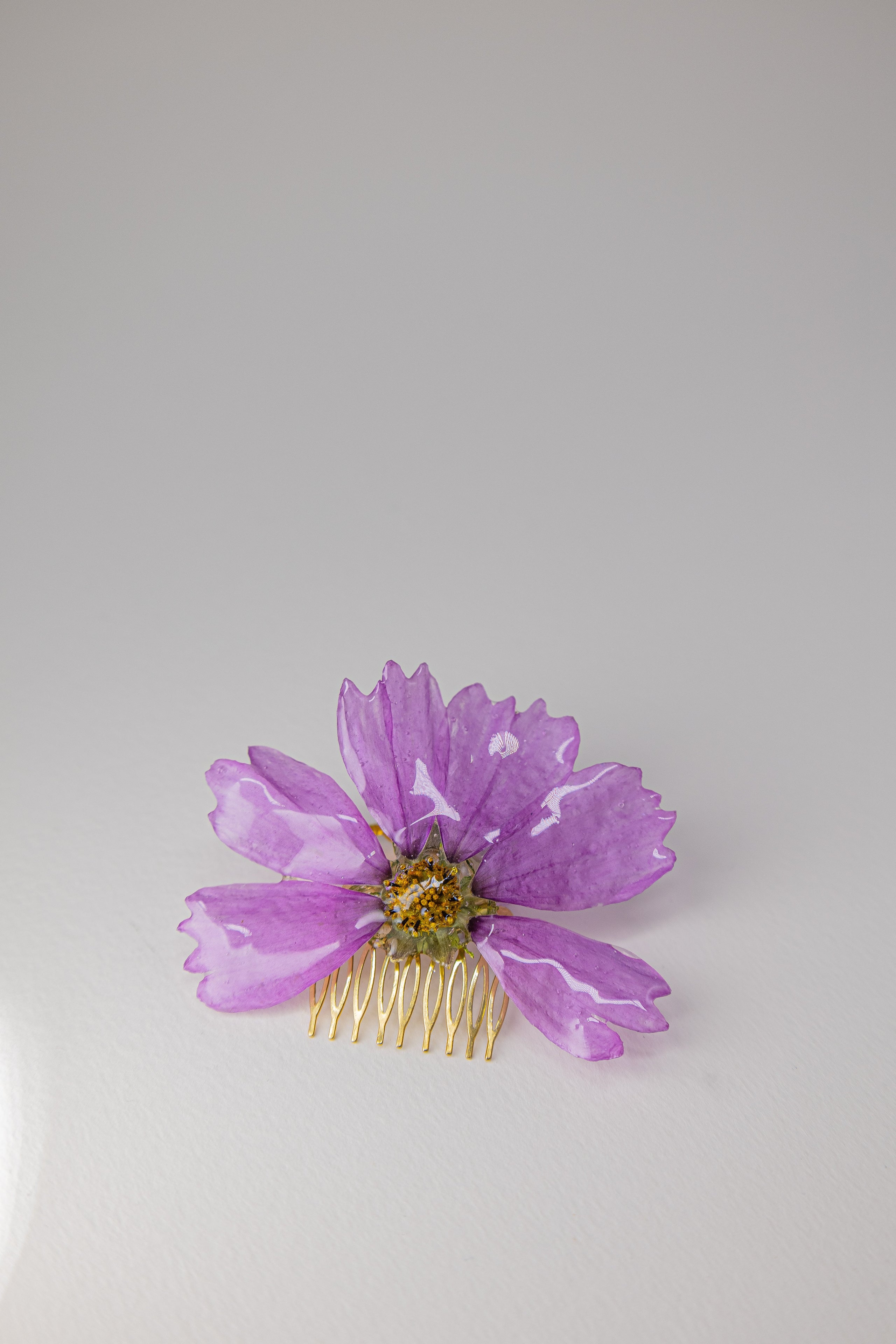 Les peignes et broches