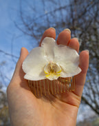 Peigne à cheveux Bianca