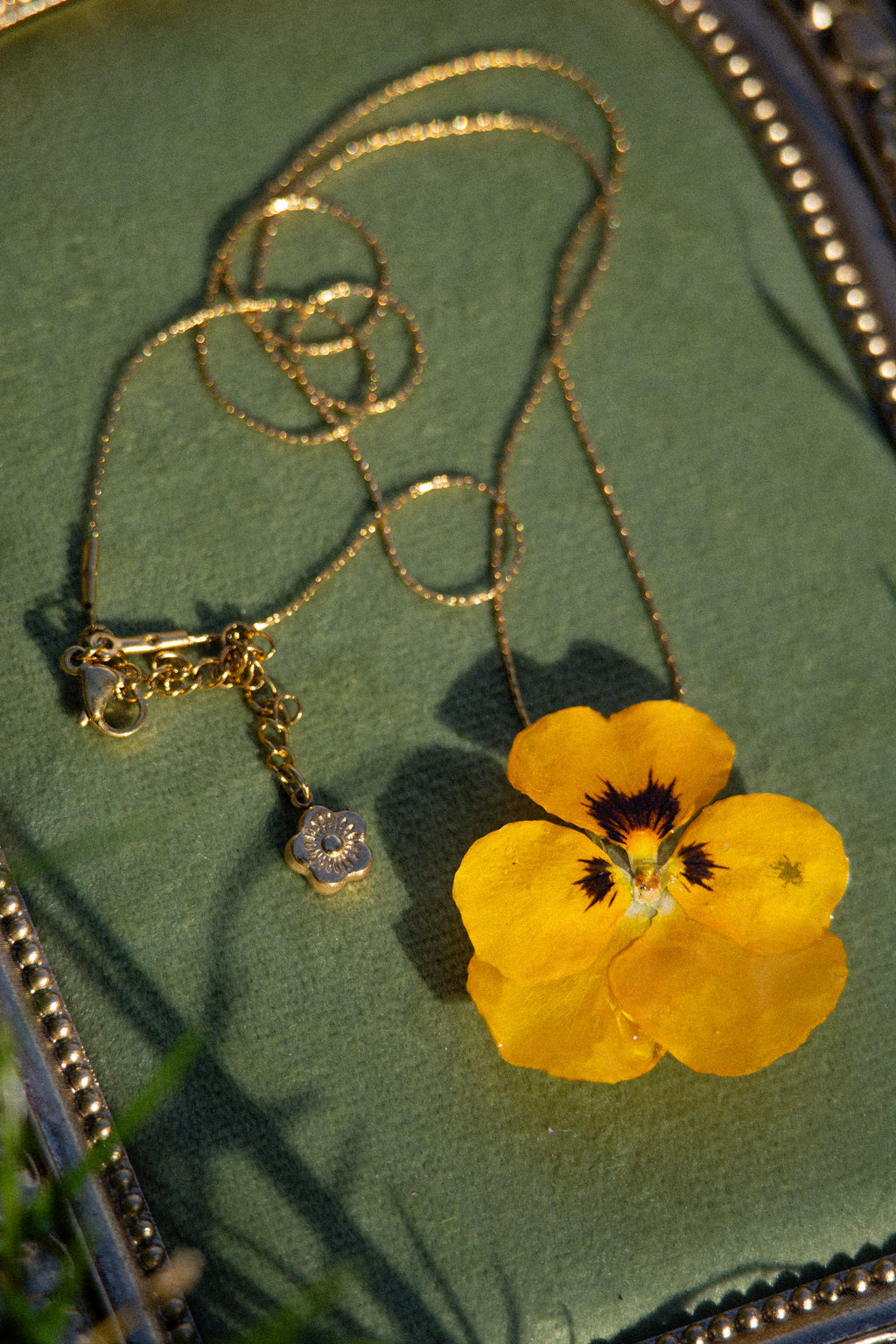 Collier Sunny