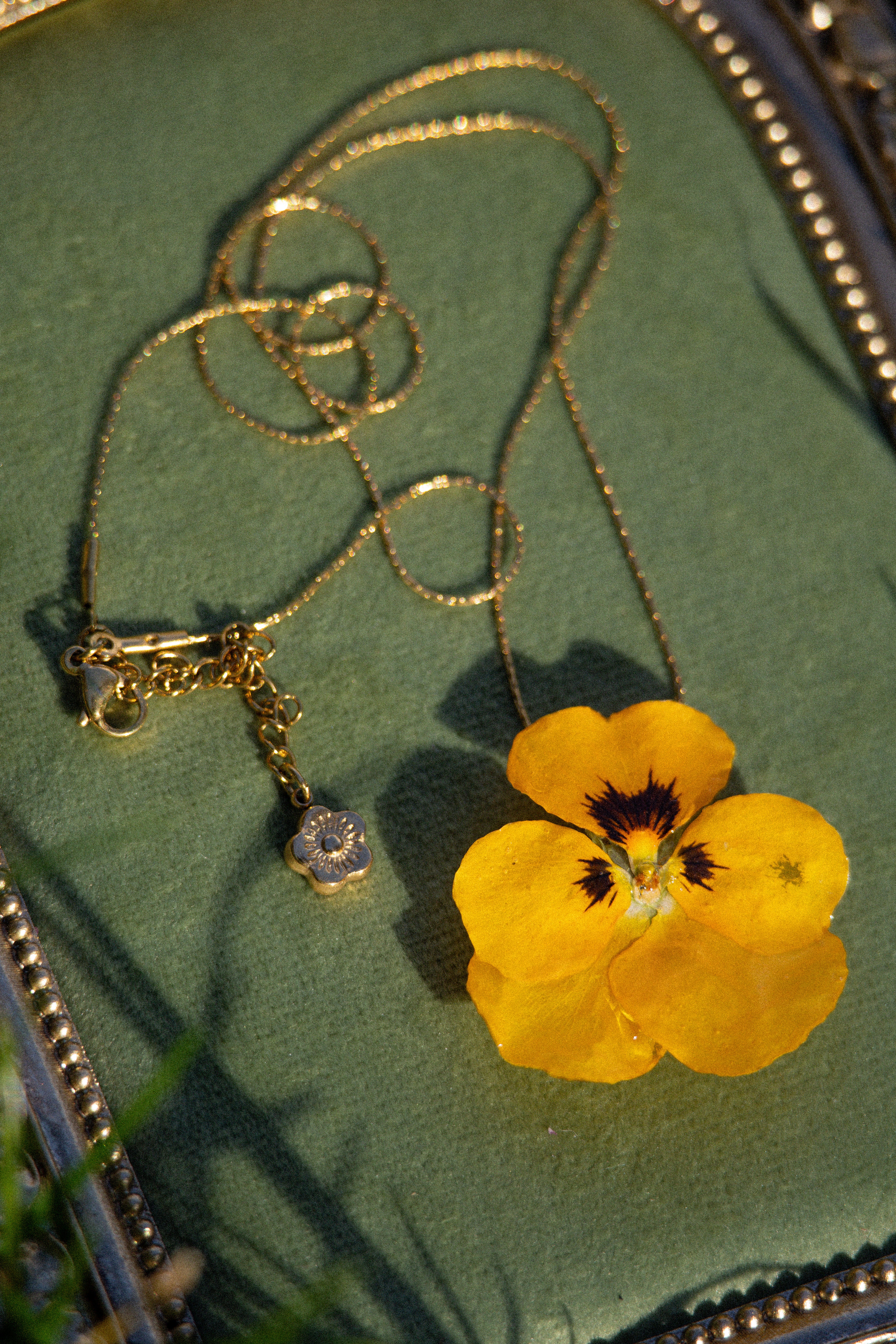 Collier Sunny