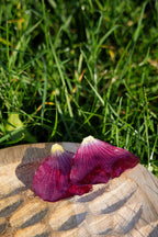 Boucles d'oreilles Althéa