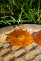 Boucle d'oreilles Marie-or